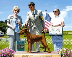 About Stradford Dog Kennels Long Valley NJ